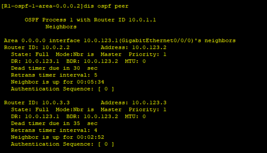 基于 OSPF 路由的邻居邻接关系发现实践