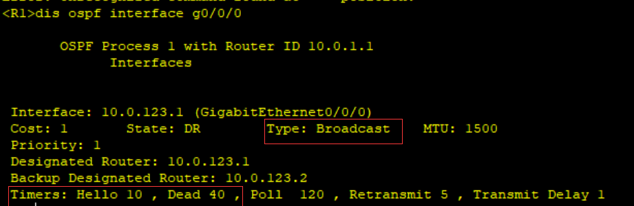 基于 OSPF 路由的邻居邻接关系发现实践