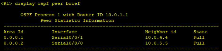 基于 OSPF 路由的邻居邻接关系发现实践