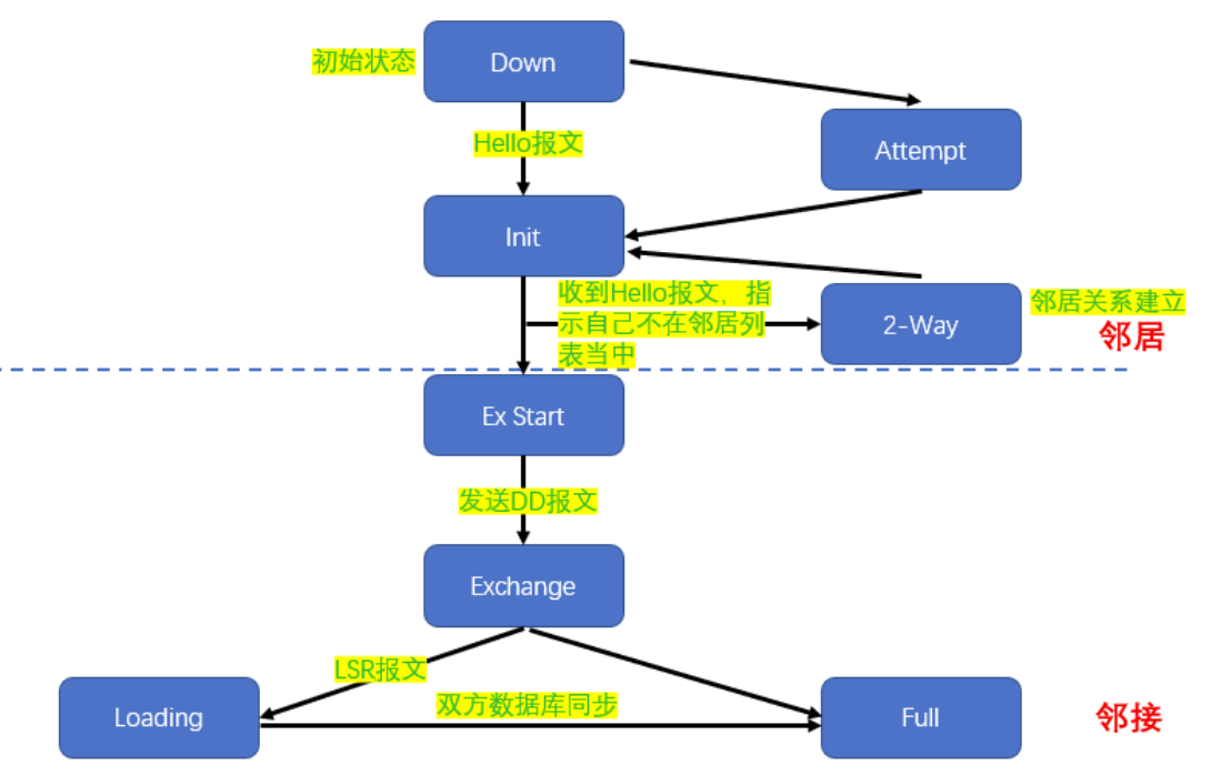 基于 OSPF 路由的邻居邻接关系发现实践