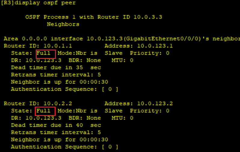 基于 OSPF 路由的邻居邻接关系发现实践