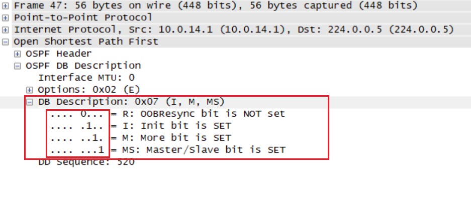 基于 OSPF 路由的邻居邻接关系发现实践