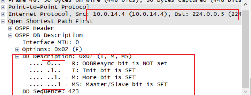 基于 OSPF 路由的邻居邻接关系发现实践