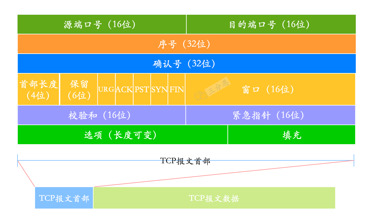 TCP报文首部的格式