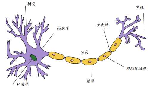 图片来源：维基百科