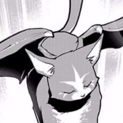 3044506 catelf 1578992023