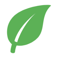 4873823 green leaf 1578992254