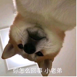 7810801 bk2103 1622030793
