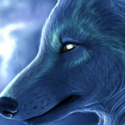 1509026 four wolf 1578990607