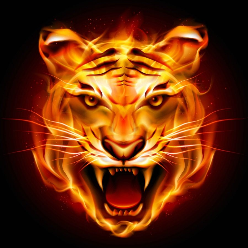 1897301 firetigerdev 1578991276