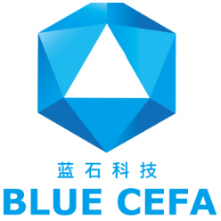2163180 bluecefa education 1578991600