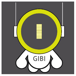 2412220 gibi team 1578991872